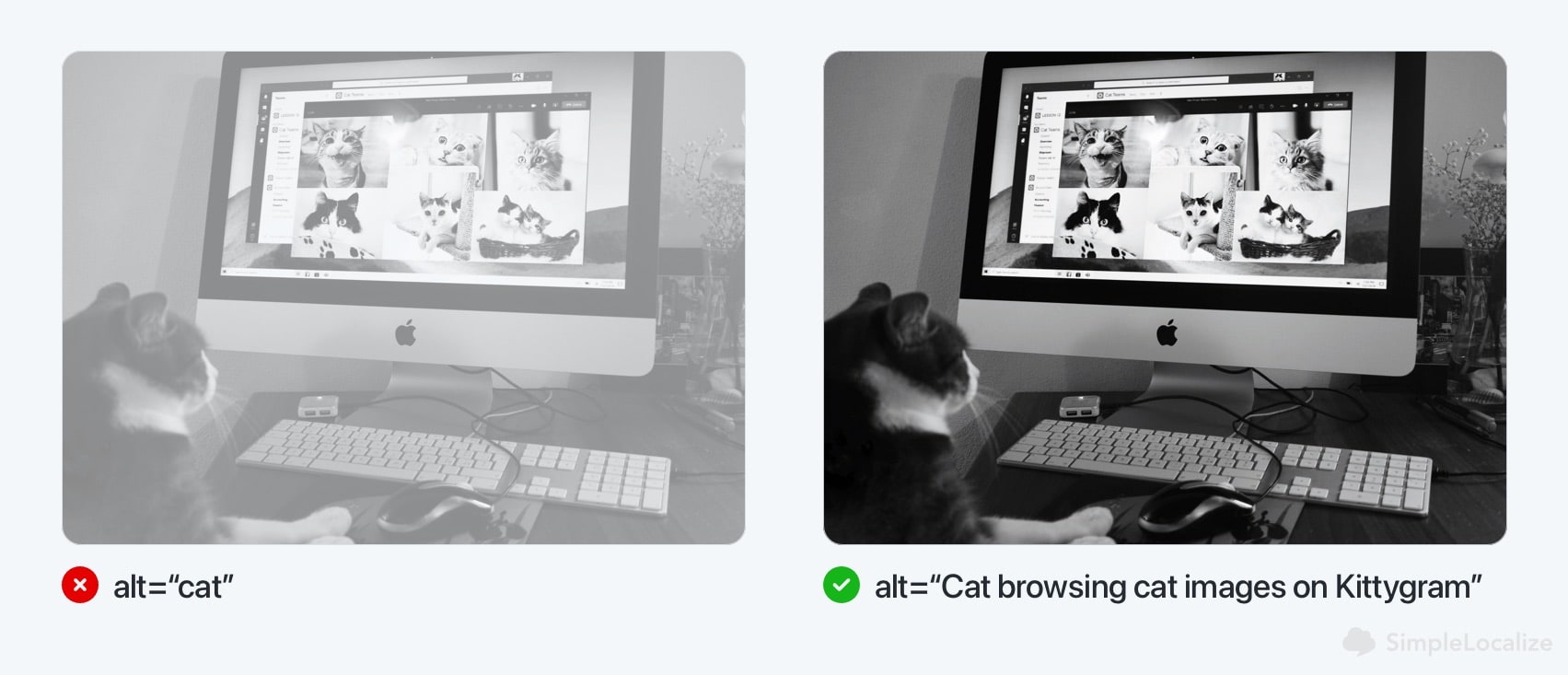 Image of a website with localized alt text